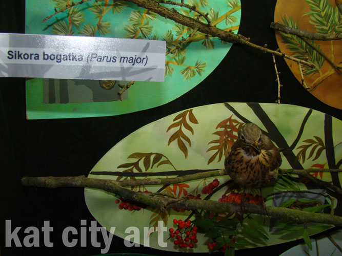 Zdjęcie: gablota z ptakami2.jpg